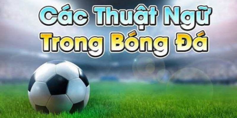 Danh sách các thuật ngữ thể thao tiếng Anh