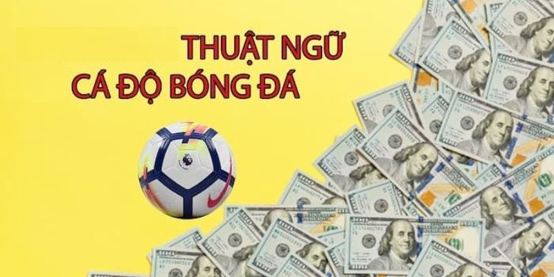 Tìm hiểu các thuật ngữ cá độ bóng đá hay gặp trong cá độ thể thao hiện nay.